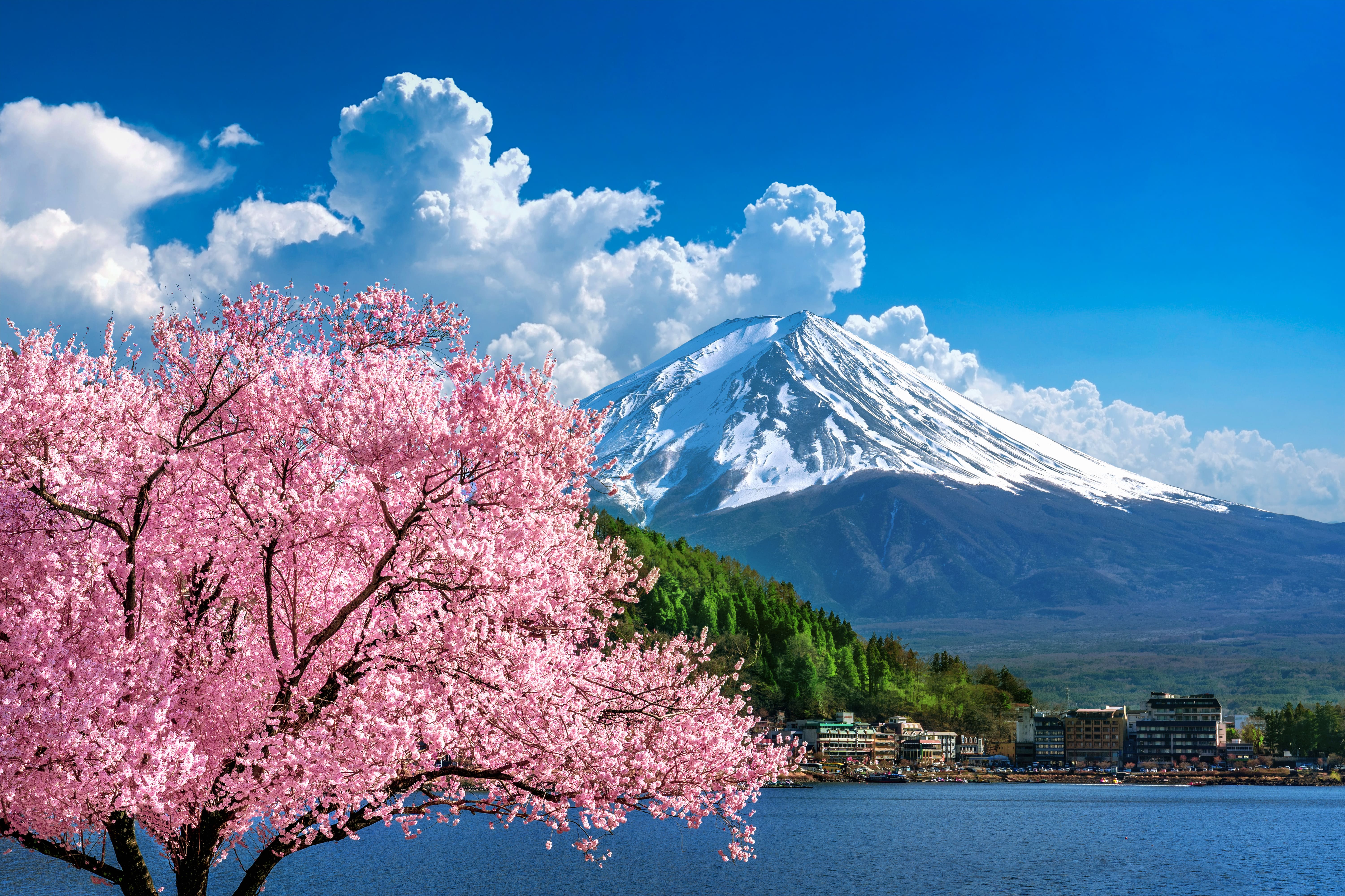 perlengkapan winter jepang
